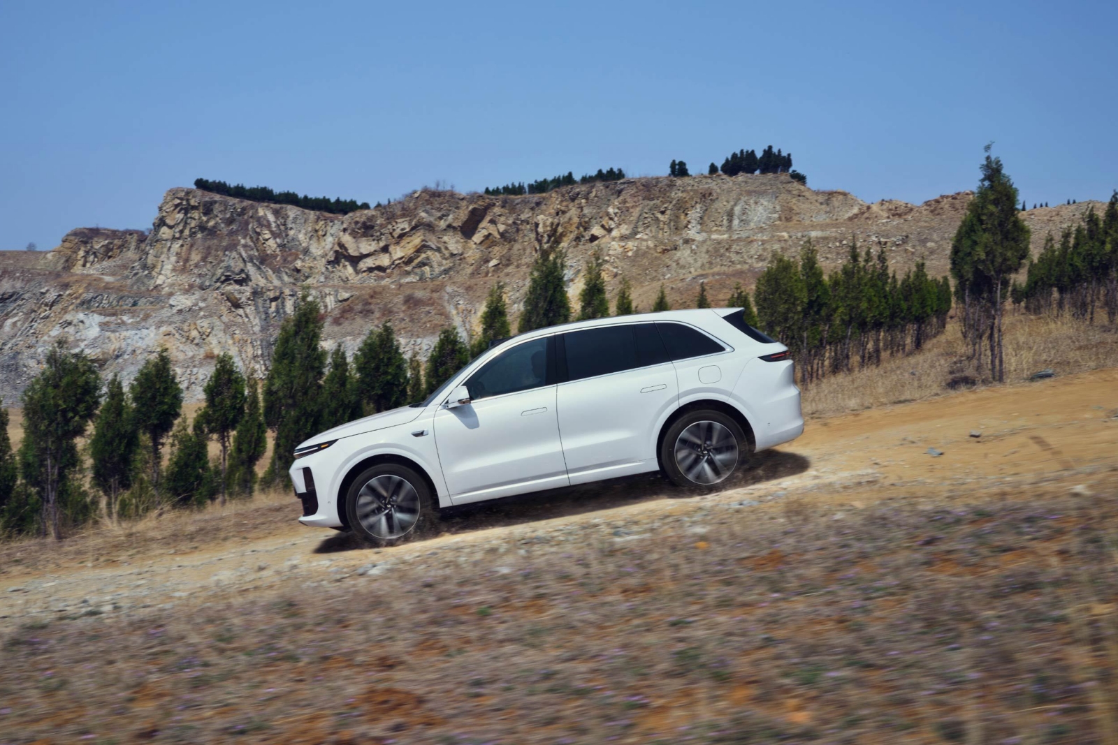 2024款理(lǐ)想L6 MAX版 